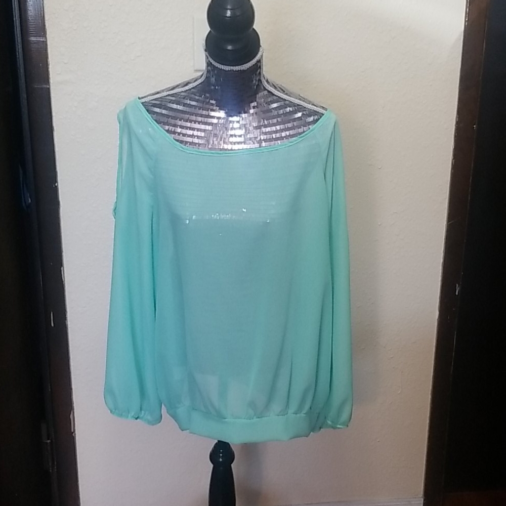Sheer Top NWOT